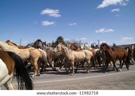 Horses traveling through the main street of a small town