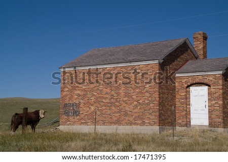 It\'s only 12:22, but this cow looks patient enough to wait until 1:00 for the building to open