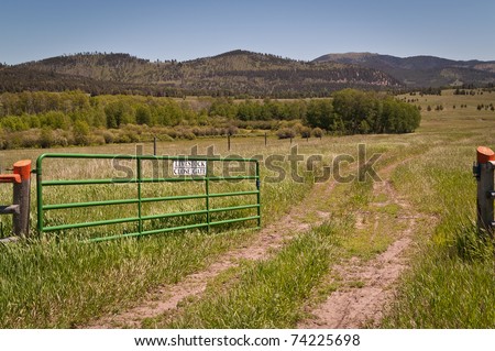 Ranch gate left open by a careless, or lazy, person allowed the livestock to get out