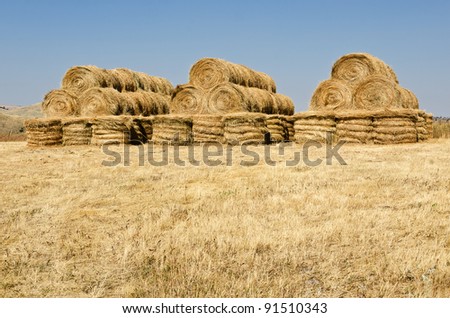 Hay bales stacked in triangular shapes on rectangular shaped bases