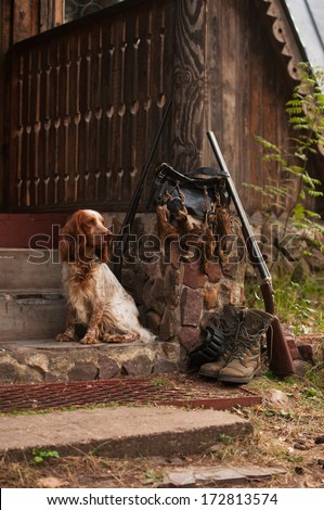 Gun dog near to shot-gun and trophies, vertical, outdoors