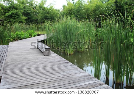 Wood path over river and through tropical forest