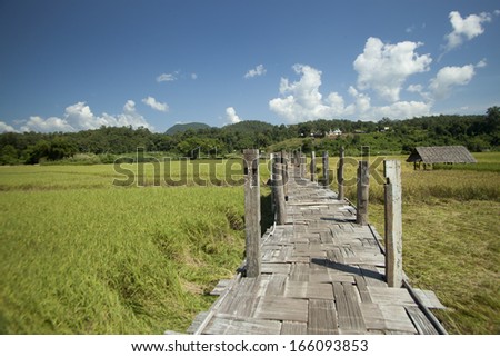The old bamboo bridge in rice field, north Thailand