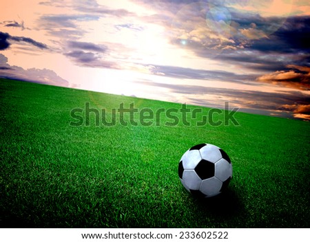 soccer field and sky