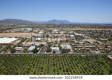Citrus meets the Suburbs, orange groves next to office buildings and residential neighborhood