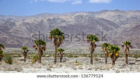 Harsh desert and landscape of the Indio Hills