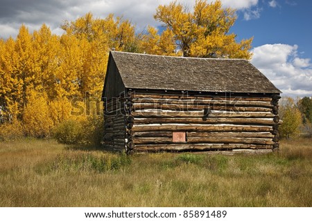Log Cabin in the Colorado Rocky Mountains with the Fall colors of the Aspen Trees