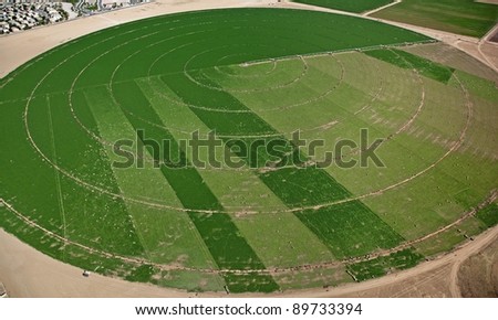 Aerial view of a crop circle in the Southwest