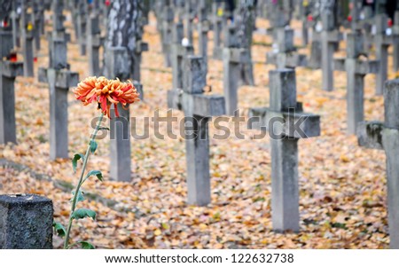 Grave crosses on old Powazki Military Cemetery in Warsaw, Poland