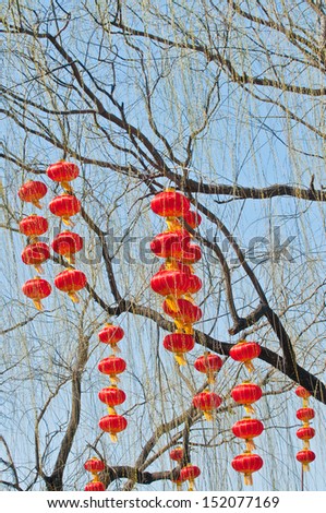 A lot of Chinese lanterns on a tree in Beihai Park, Beijing, China