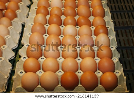 Farmer\'s Market Fresh Eggs. Farm fresh brown chicken eggs  at farmers market. Group of brown eggs in carton box closeup market