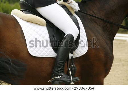 Unknown rider in action on a dressage horse