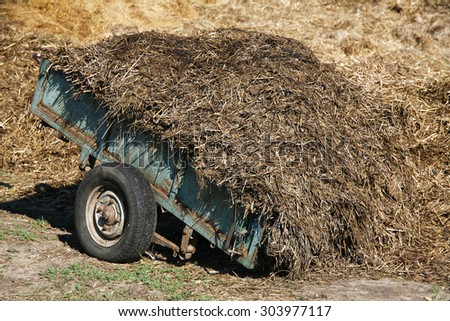 Close-up of horse manure mixed with hay on a horse farm
