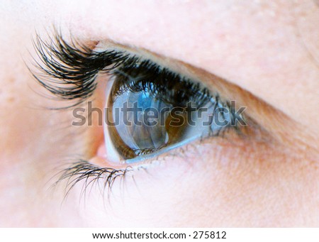 eye brown big lashes