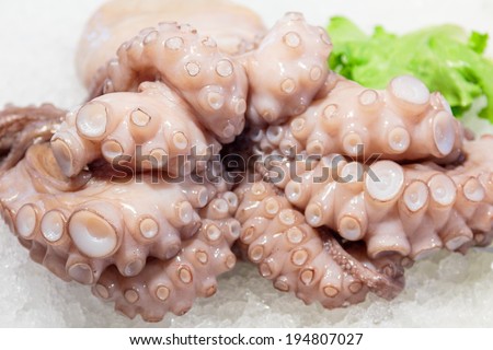 Tentacles of a dead octopus on ice on a fish market