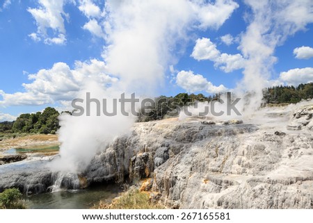 Hot sources and geysirs steaming in Te Puia a park with geothermal activity near Rotorua, New Zealand