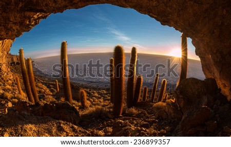 Cave on the Cactus island in Uyuni Salt desert at sunrise, Bolivia,