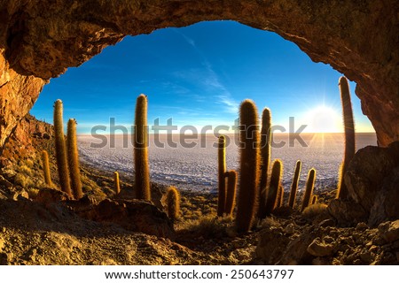 Cave on the Cactus island in Uyuni Salt desert at sunrise, Bolivia