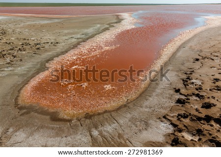 Crystals of salt are shown in red salt water lake in Kalmykia, Russia