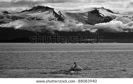 Whale is at Alaska. BW