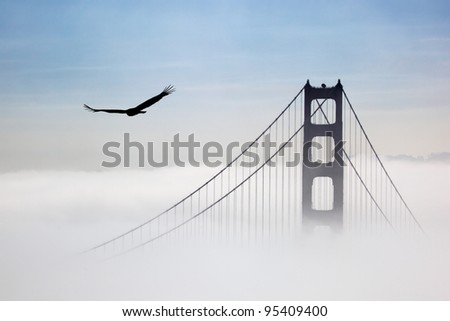 Eagle and Golden Gate Bridge, San Francisco, California