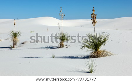 Sand Dune at White Sands National Monument, New Mexico, USA