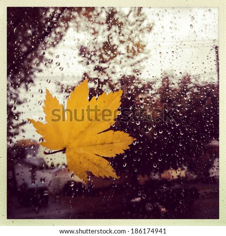 Instagram style image of a leaf against a widow during a rain storm