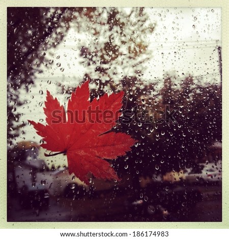Instagram style image of a leaf against a window during a rain storm