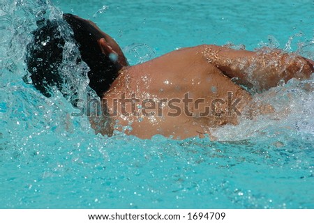 freestyle swimmer back