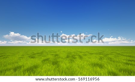 High quality render of a green field with the clear blue sky and clouds at the horizon line
