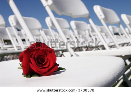 A stock image of a red rose lying on one of a sea of white chairs against a crystal blue sky.