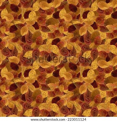 Autumn seamless pattern with bright leaves for design, foliage background