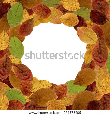 Autumn background with bright leaves for design, foliage round frame