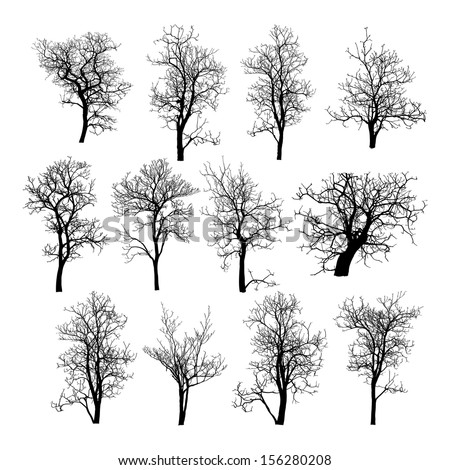 Dead Tree Without Leaves Vector Illustration Sketched, Eps 10.
