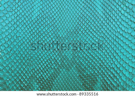 Snake Skin Texture