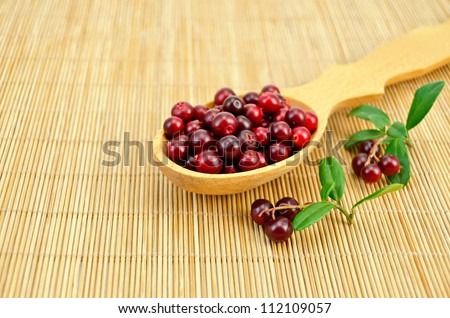 Berry cowberry in a wooden spoon, two branches with berries and green leaves on a bamboo mat