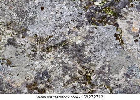 The texture of natural stone gray granite interspersed with moss and grass