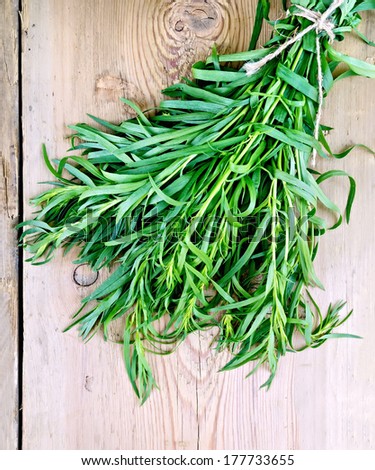 Tarragon fresh green tied with twine on the background of wooden boards