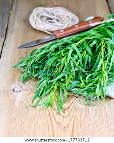 Sheaf tarragon fresh green with hank of twine and a knife on a napkin on the background of wooden boards