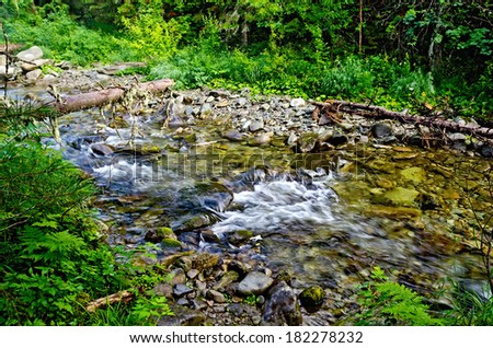 Stormy mountain river Zhigalan on the ridge Kvarkush on the north of the Ural Mountains on the background of green vegetation