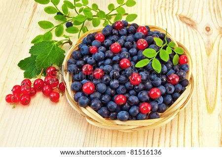 Blueberries with red currants in a wicker basket, a sprig of blueberries and red currants with green leaves on a light wooden board