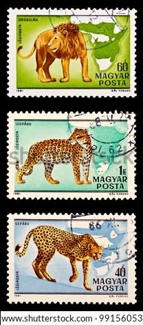 The three stamps in the set with the lion, leopard and cheetah isolated on a black background
