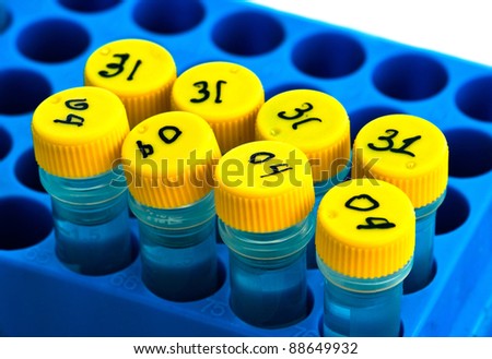 Eight small plastic transparent tubes with numbers on the caps in a blue rack