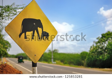 Road Sign: Caution Elephants.