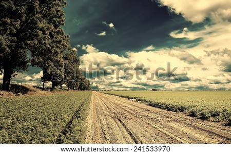 Country landscape with beautiful sky.