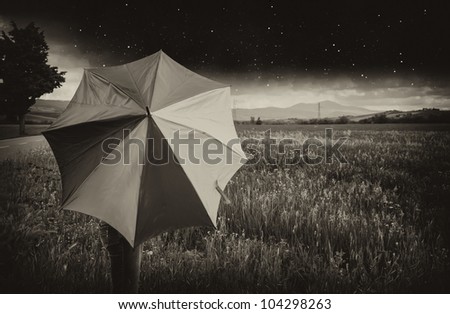 Black and White Landscape of Tuscany with Umbrella, Italy