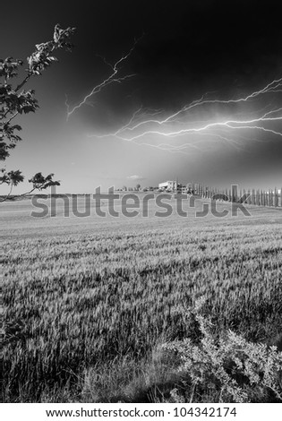 Black and White Landscape of Meadow in Tuscany, Italy