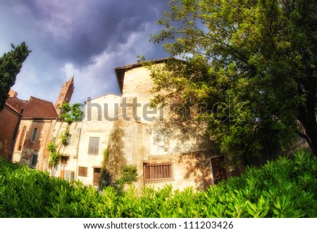 Homes and Vegetation in Pisa, Tuscany, Italy