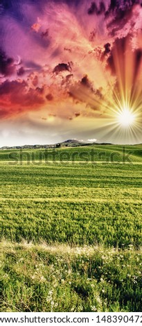 Italian landscape. Tuscany fields and meadows in spring season.