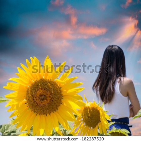 Young pretty woman among sunflowers, with his back to the camera.